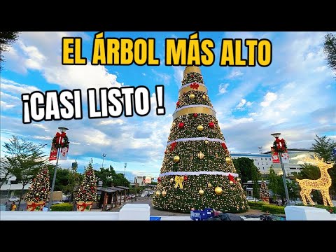 EL ÁRBOL NAVIDEÑO MÁS ALTO de San Salvador ya está casi listo para su inauguración 