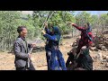 What Happened In The Forest That Day