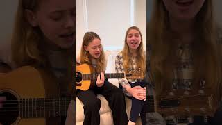 the wire-haim (cover)