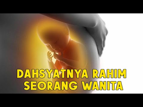 MASYAALLAH..!! Inilah Dahsyatnya Rahim Seorang Wanita