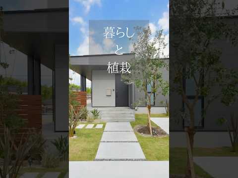 樹木-庭-石-床--屋根-石-外装