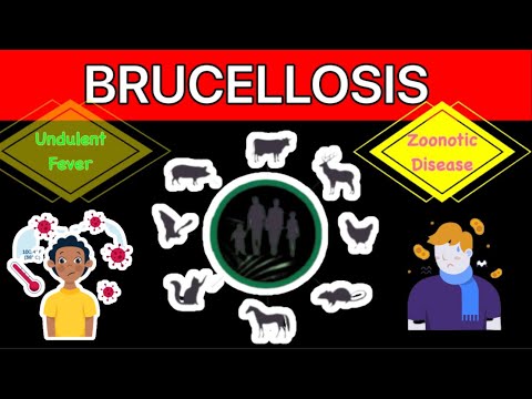 Brucellosis (Malta fever or undulant fever) Zoonotic Disease | Sign & Symptoms | Causes | Treatment
