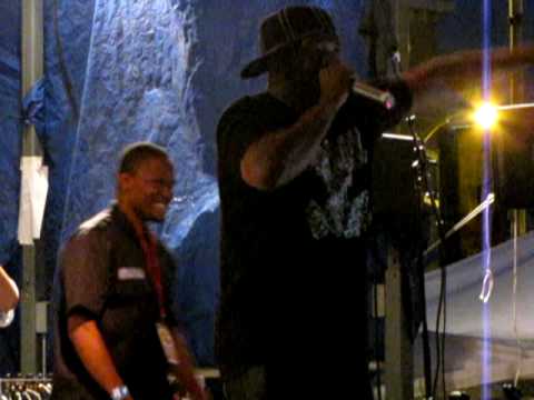 Lincoln Park Music Festival 2010 - It's Greg Nice!