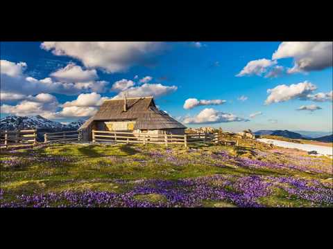 NA PLANINI JE ŽIVEL - cover- ( :darko :čater-DARKO CASH)