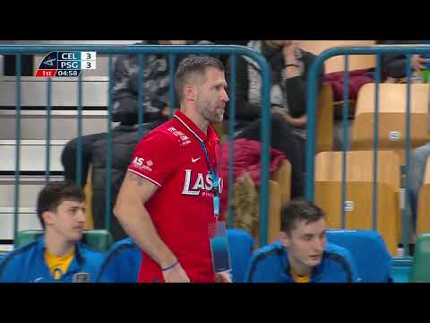 RK Celje Pivovarna Lasko - Paris Saint-Germail HB