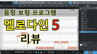음정보정 프로그램 멜로다인5 리뷰