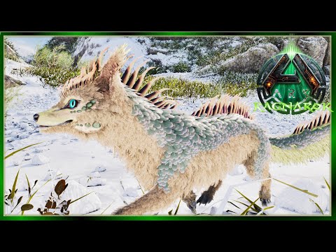 I almost Died after Taming a Veilwin... Ark Ragnarok Nomad 24