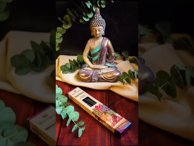 Vídeo relacionado con Aromasenses.- Incienso Sahumerio Banjara Eucalipto Ritual Resin - Caja Completa con 8 Cajetillas con 8 Varillas Cada una + 1 Tablilla Aromasenses - Hecho a Mano - 100% Natural y Orgánico (EUCALIPTO)