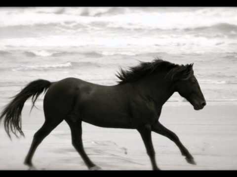 Medley  de Revere