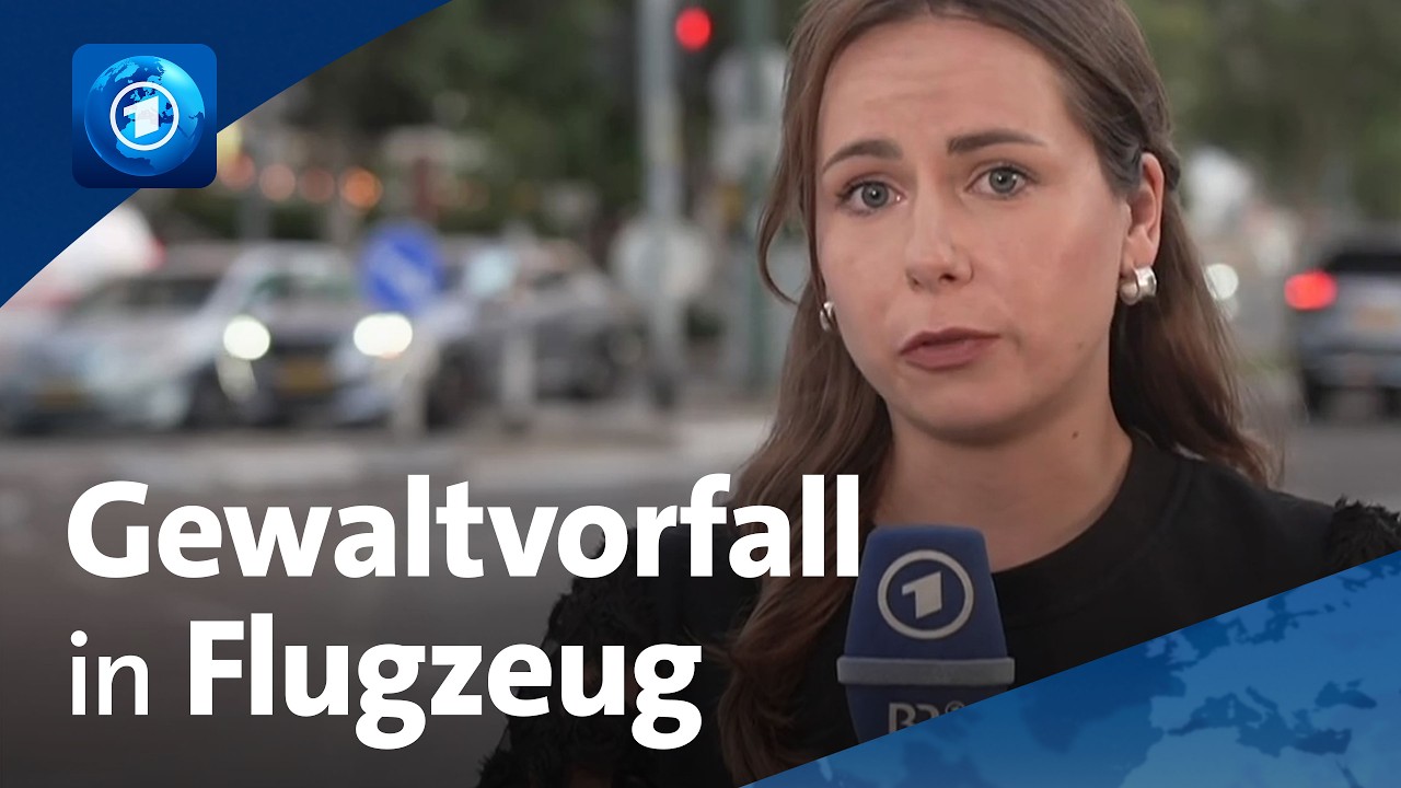 Flug nach Israel: Passagierflugzeug entgeht wohl nur knapp Katastrophe