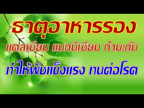 ฉันมีระยะ 14 ซม. มีขนาดเล็กมาก คุณต้องกินบางสิ่งบางอย่างเพื่อเพิ่มความแข็งแรง