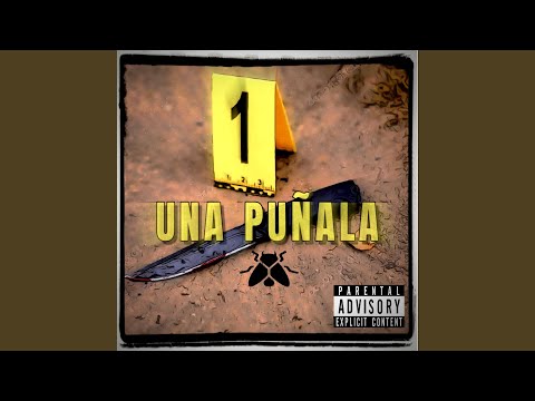 UNA PUÑALA
