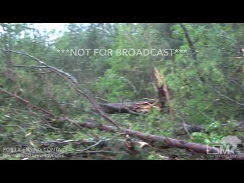 4 2 17 Summerville, LA Tornado Damage On Road 127 Trees and Powerlines Across Road
