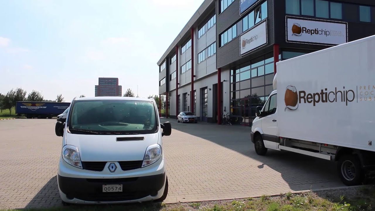 YouTube Video Thumbnail