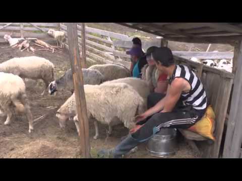 Cazare Marginimea Sibiului - Cazat.ro