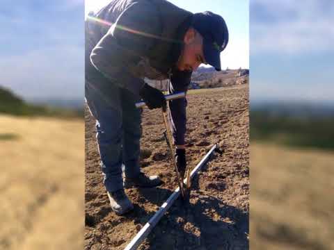 Piobesi d'Alba - Montiglione - nebbiolo plantation for Nebbiolo d'Alba wine production