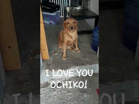 I will never forget you, oChiko.