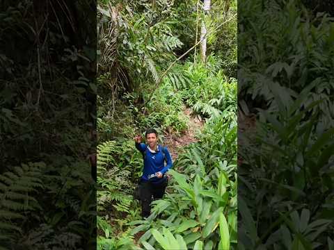Cascadas GEMELAS en Florian Santander, BUENAVISTA Y CARACOL