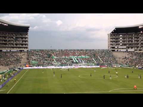 "Frente Radical Verdiblanco - Deporcali va Equidad feb 2015" Barra: Frente Radical Verdiblanco &bull; Club: Deportivo Cali