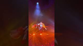 It 39 s a Lifestyle Baby