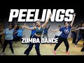 PEELINGS Zumba Dance Workout Pushpa 2 The Rule Telugu Allu Arjun Rashmika Mandanna DSP