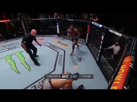 JOHNY WALKER TKO VICTORY AGAINTS RYAN SPANN