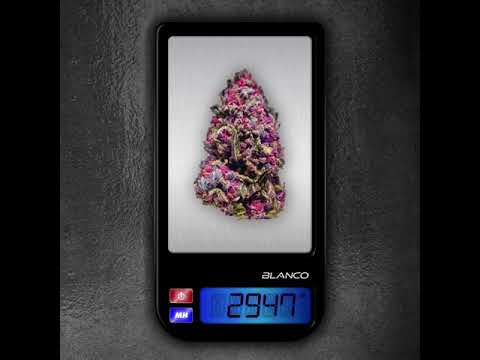 Blanco  - Mische ft. kid.LOKY