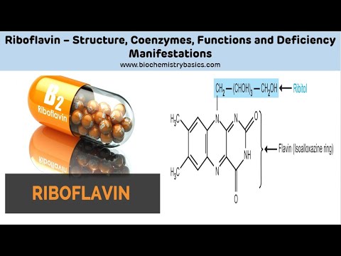 Riboflavin - Vitamin B2 || Riboflavin Biochemistry || Vitamin B2 Biochemistry