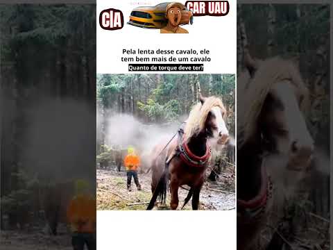Quantos cavalos tem esse cavalo? 👀🔥 #cavalos #carros #mustang #ford #curiosidades #byd #potencia