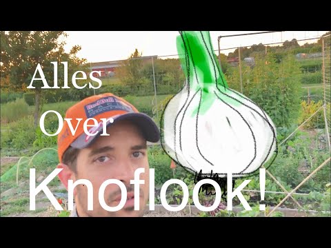 , title : 'Alles over: Knoflook!'