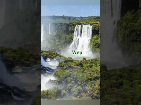 Wep _ Francisco Aranda