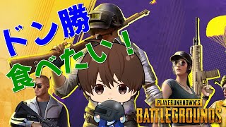 【PUBG】ソロランク評価マッチ→スクランク