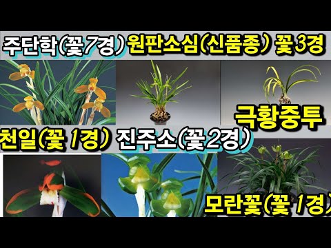 유튜브 썸네일