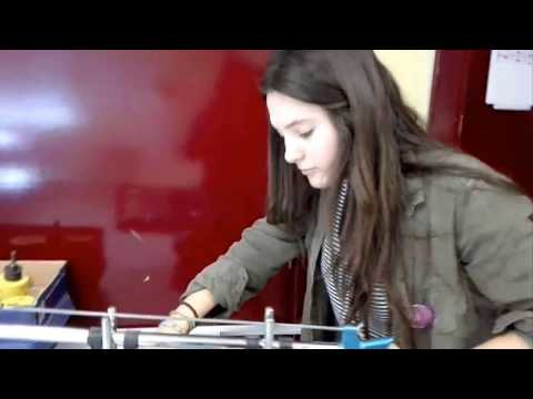 MANNEQUIN CHALLENGE|ARRATIA INSTITUTUA