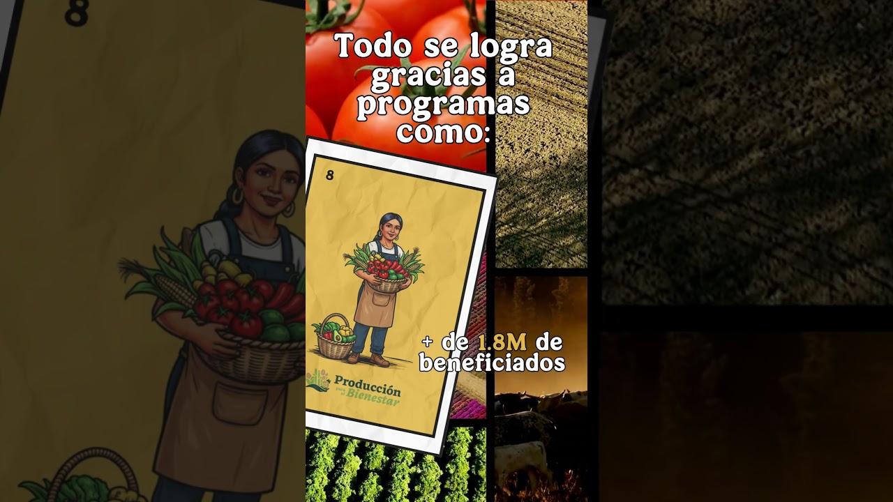 Cifras que avanzan a una #SoberaníaAlimentaria