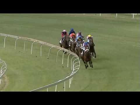 WAR OF ATHENA - Wilgerbosdrift Gauteng Fillies Guineas