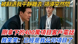 被辭退我平靜離去，領導突然問剛拿下的400萬項目客戶電話，我笑笑：已經是我公司項目了#奇聞#案件#真相#職場#職場文化#故事#完結爽文#情感故事