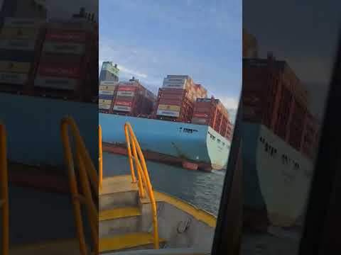 MUMBAI MAERSK one of the largest container ships In the world leaves port of Rotterdam (400 M)