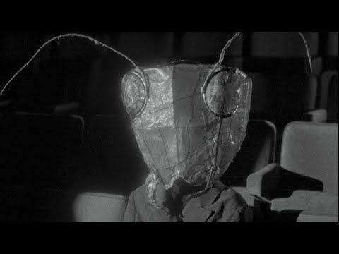 proto tip - u svađi sa celim svetom