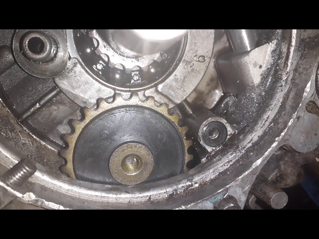 Что Такое Цепь Грм На Мопеде Альфа