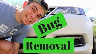 Bug Removal Simplified: How to remove bugs from your car