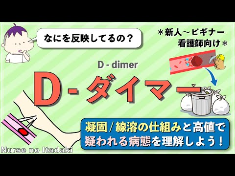 カドルッス病院について詳しく解説