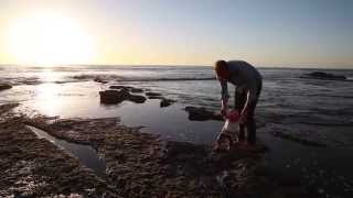 Matt Epp - Go Somewhere (OFFICIAL VIDEO)