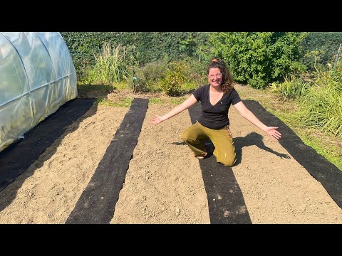 How I'll have to weed less in the future! 🌱 I'm trying something new ✨✂️