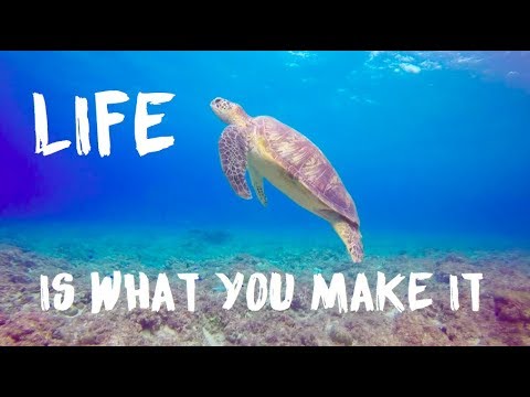 Mike Candys - Life (Lyric) feat. Rock Angelo