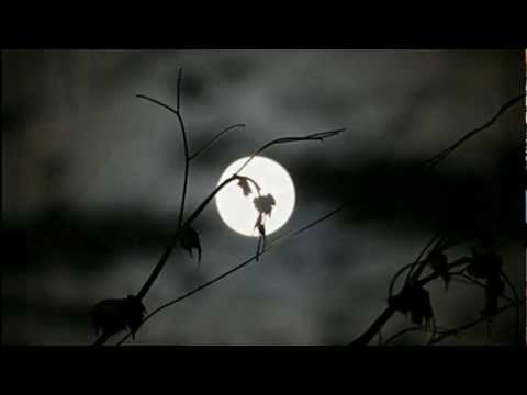 A Lua video
