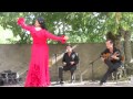 Luis de la carrasca ,la compagnie Flamenco Vivo ...