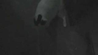 Ali's psycho flatmate