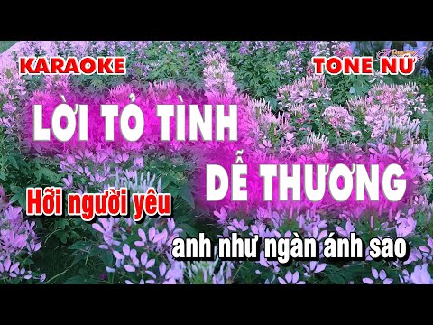 Karaoke - Lời Tỏ Tình Dễ Thương - Nhạc Sống Tone Nữ - Làng Hoa