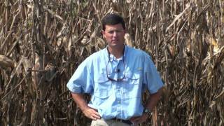 preview picture of video 'Part 1 - Corn populations and row configurations'